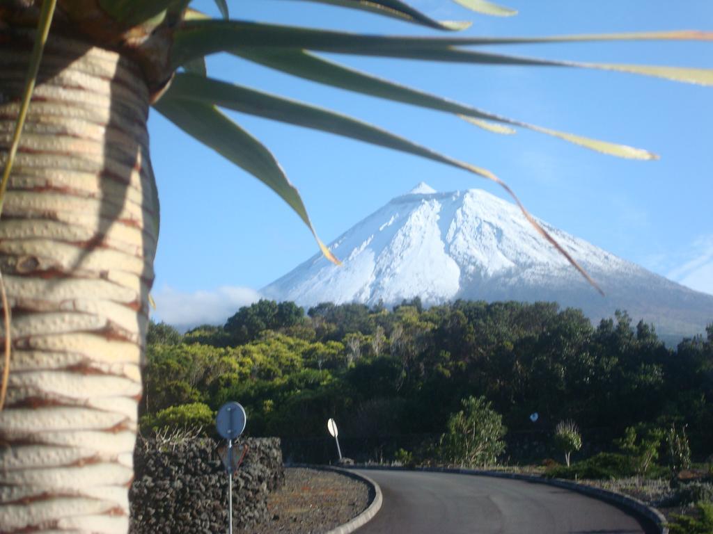 Pico Formoso Vinea Lava Alojamentos Pico Prainha  Exterior foto